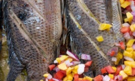 Pinaputok na罗非鱼食谱