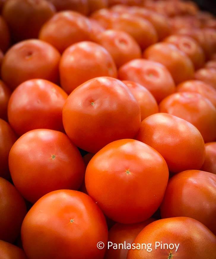 什么时候种西红柿?
